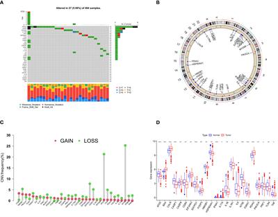 Subtype and prognostic analysis of immunogenic cell death-related gene signature in prostate cancer